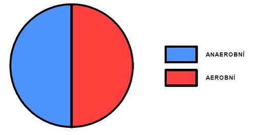 Podíl aerobního a anaerobního krytí během výkonu (upraveno dle Sharkey 1986)