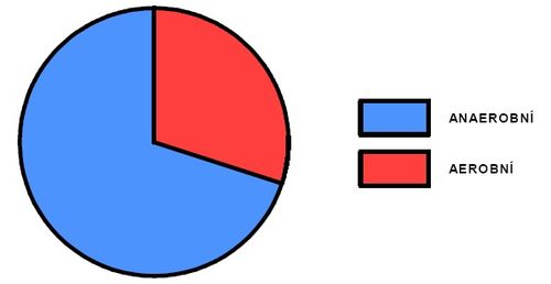 Podíl aerobního a anaerobního krytí během sprinterského výkonu (upraveno dle Sharkey, 1986).