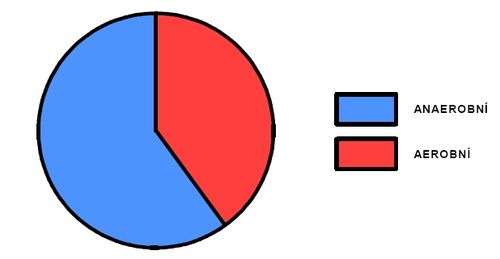 Podíl aerobního a anaerobního krytí během výkonu jednotlivkyň.