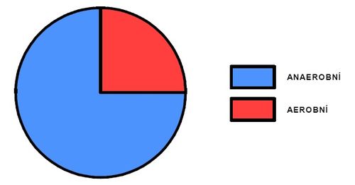 Podíl aerobního a anaerobního krytí během výkonu.