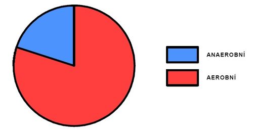 Podíl aerobního a anaerobního krytí během výkonu (upraveno dle Nolte, 2005)