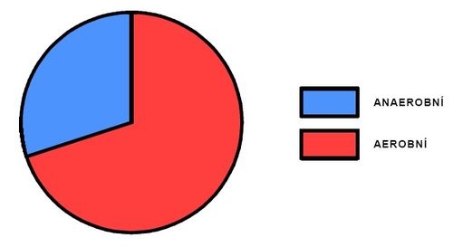 Podíl aerobního a anaerobního krytí během výkonu