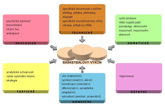 Faktory sportovního výkonu – basketbal.