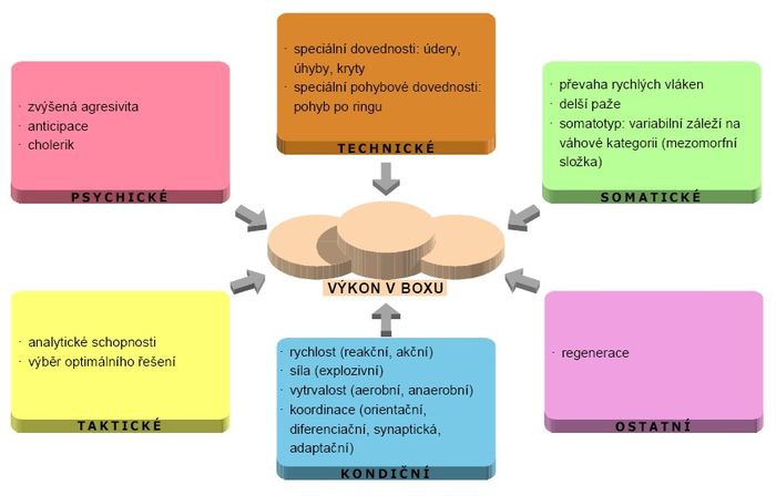 Faktory sportovního výkonu – box