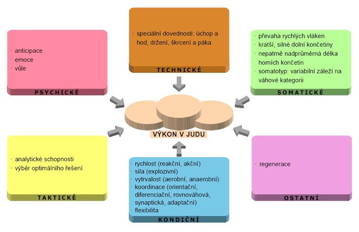 Faktory sportovního výkonu – judo.