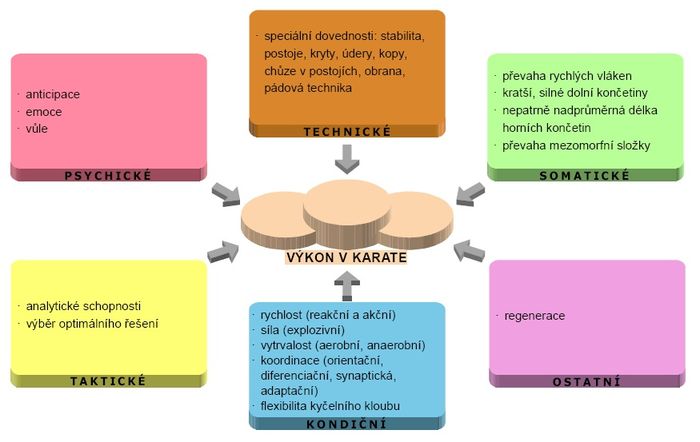 Faktory sportovního výkonu – karate.