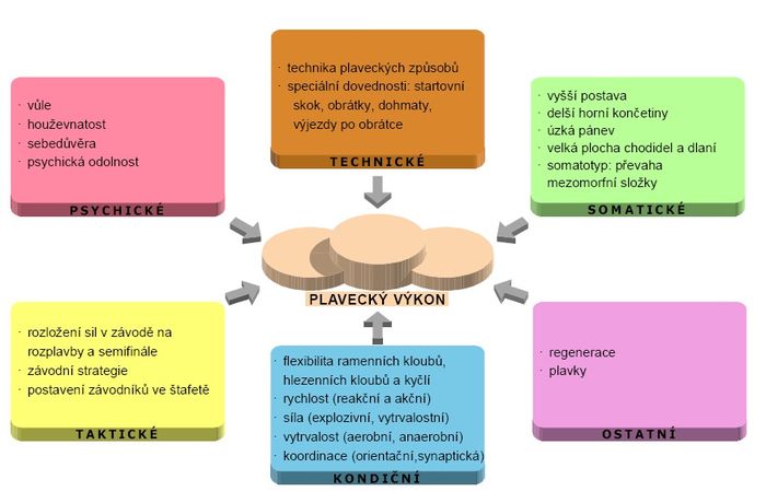 Faktory sportovního výkonu – plavání