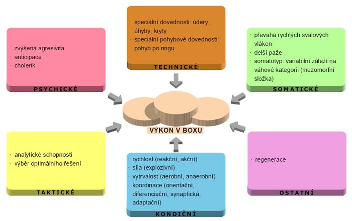 Faktory sportovního výkonu – box