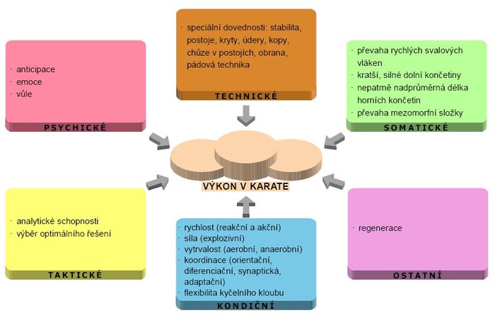 Faktory sportovního výkonu – karate.