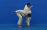 Waki gatame v postoji