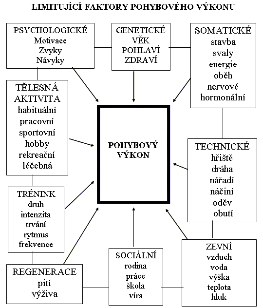 Schéma přehledu limitujících faktorů pohybového výkonu člověka