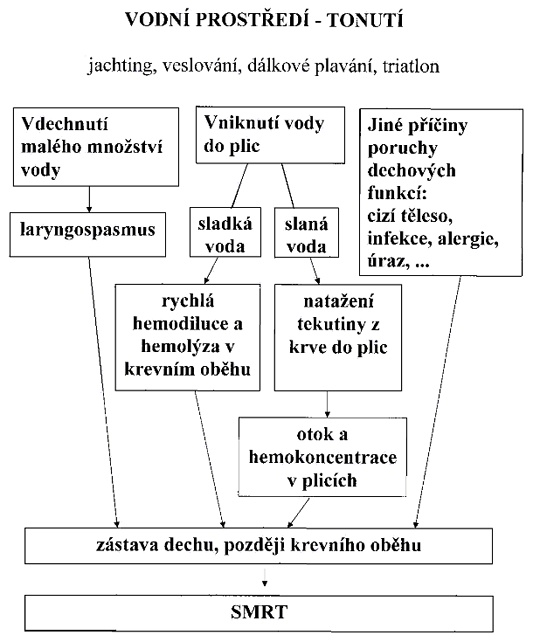 Příčiny a mechanizmy tonutí