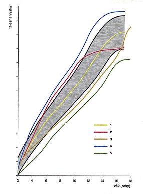 Růstové vzorce (Lebl a Krásničanová 1996).