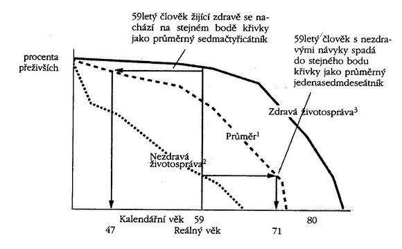 Změna reálného věku vlivem způsobu života (Roizen a Stephensonová 
  2000).