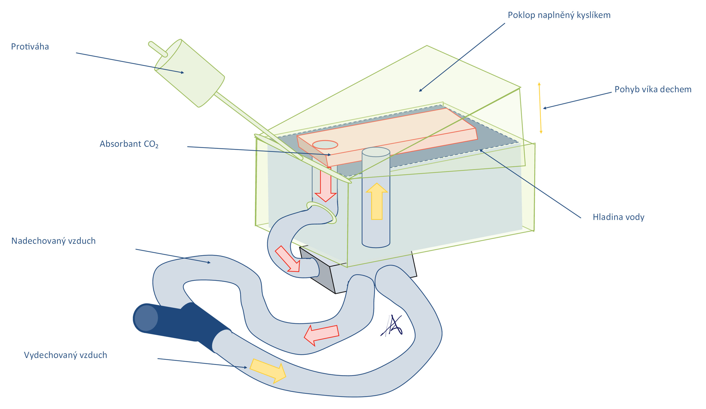Schéma Kroghova respirometru obsahujícího zásobník s natronovým vápnem pro absorpci oxidu uhličitého ve vydechovaném vzduchu.