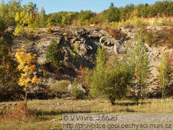 Bubovice - profil lochkovskm, praskm a zlchovskm souvrstvm