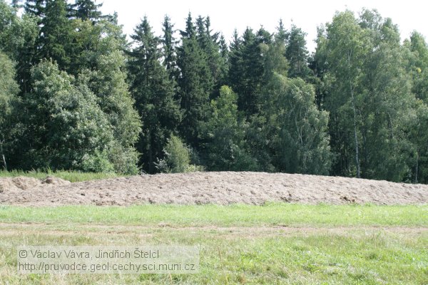 Hejtmánkovice: lesní remízek s lomem