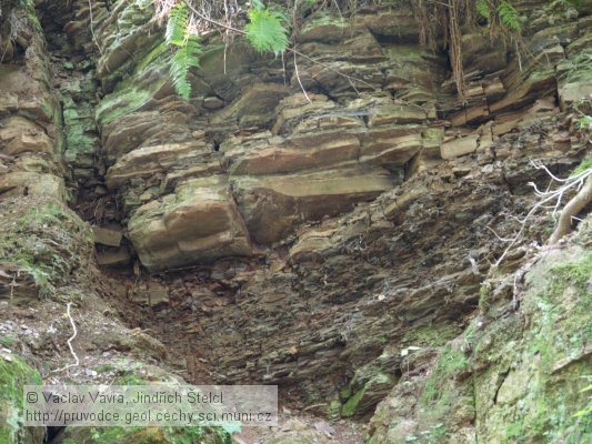 Hejtmánkovice: sedimenty olivětínských vrstev