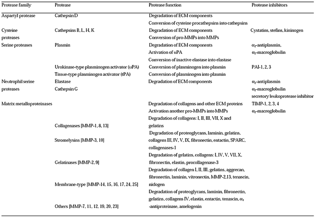 Proteázy degradující ECM a jejich inhibitory