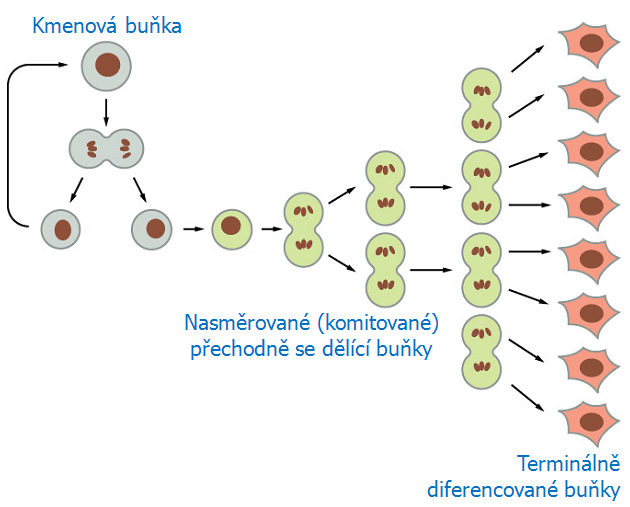 Obrázek 12-3