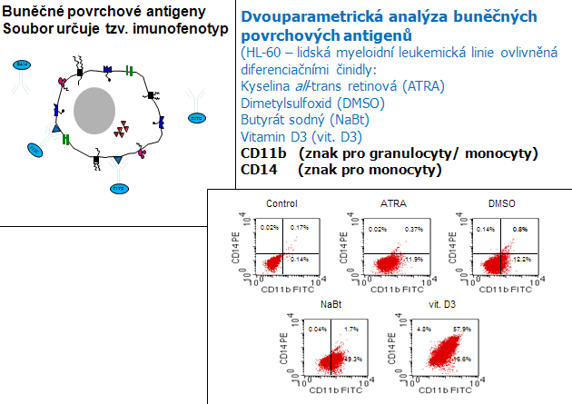 Dvouparametrická analýza buněčných povrchových antigenů