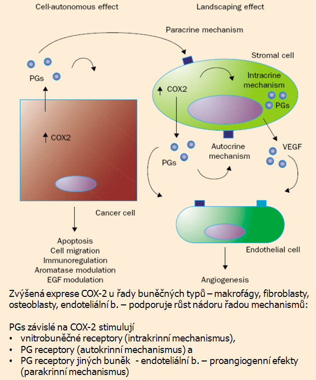 Obrázek 13-31