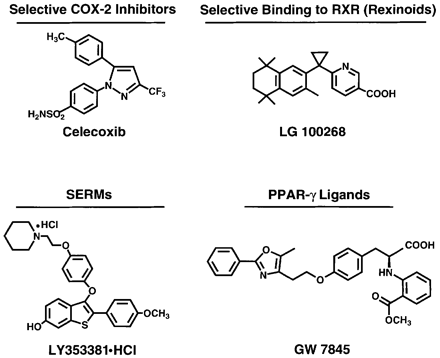 Příklady syntetických chemopreventivních látek
