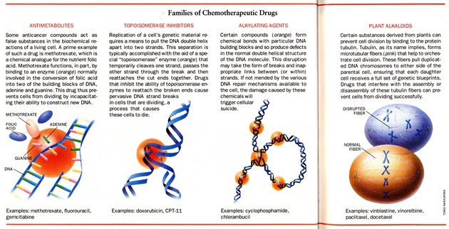 Chemoterapeutické látky