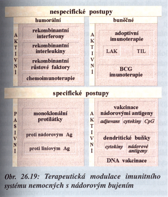 Terapeutická modulace imunitního systému nemocných s nádorovým bujením
