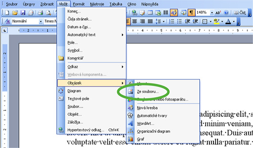 Obr. 3: MS Word 2003 – Nabídka Obrázek