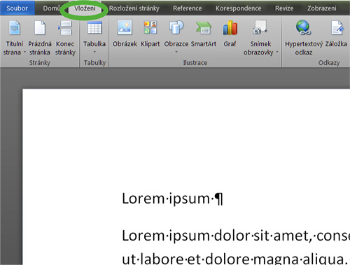 Obr. 10: MS Word 2010 – Přepnutí na panel Vložení