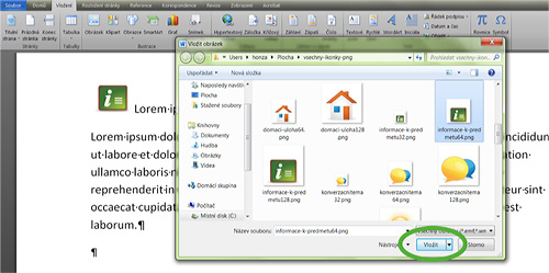 Obr. 12: MS Word 2010 – Nabídka Vložit obrázek