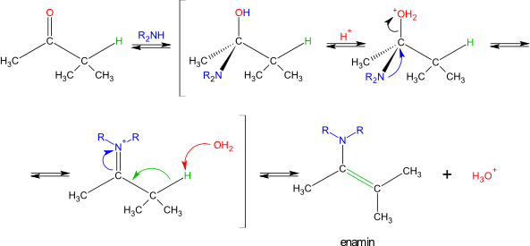 adice sekundárního aminu, vznik enaminu 