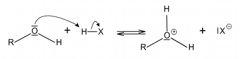  protonace alkoholu 