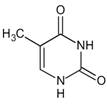  cytosin 