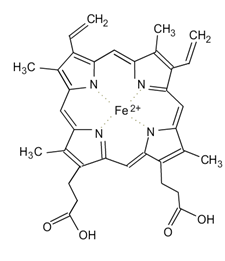  hemoglobin 