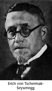 Erich von Tschermak