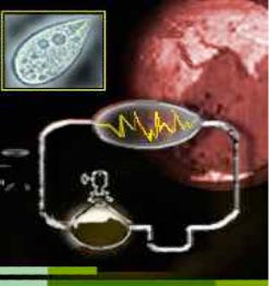 První molekulou s genetickou informací byla RNA