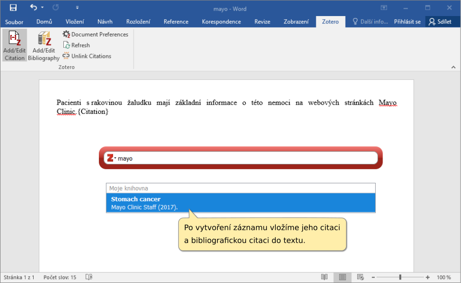 Vložení citace do textu