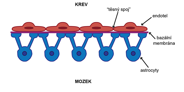 Hematoencephalická bariéra