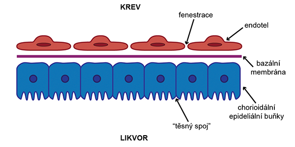 Hematolikvorová bariéra