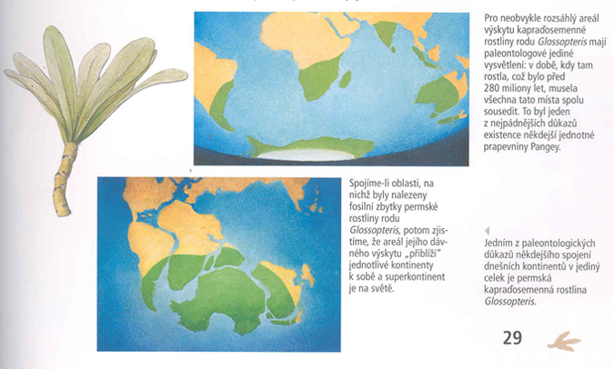 Doklady příbuznosti australské bioty k biotám jiných kontinentů