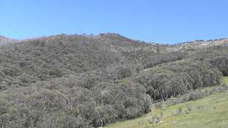 Snowy Mountains