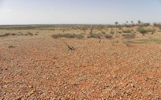 Kamenitá poušť centrální Austrálie