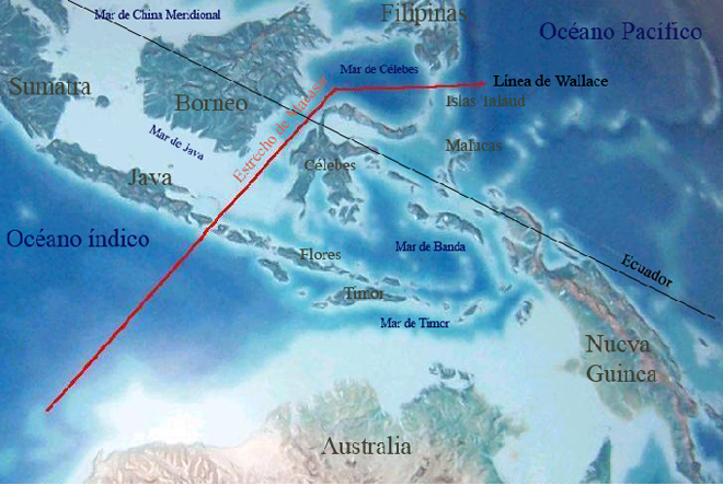 Interpretace hranice indomalajské a australasijské biogeografické oblasti