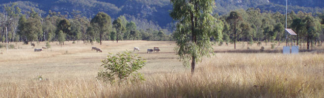 Venkov – Queensland