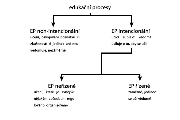 Edukační procesy dle míry intencionality