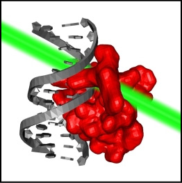 Protein_laser