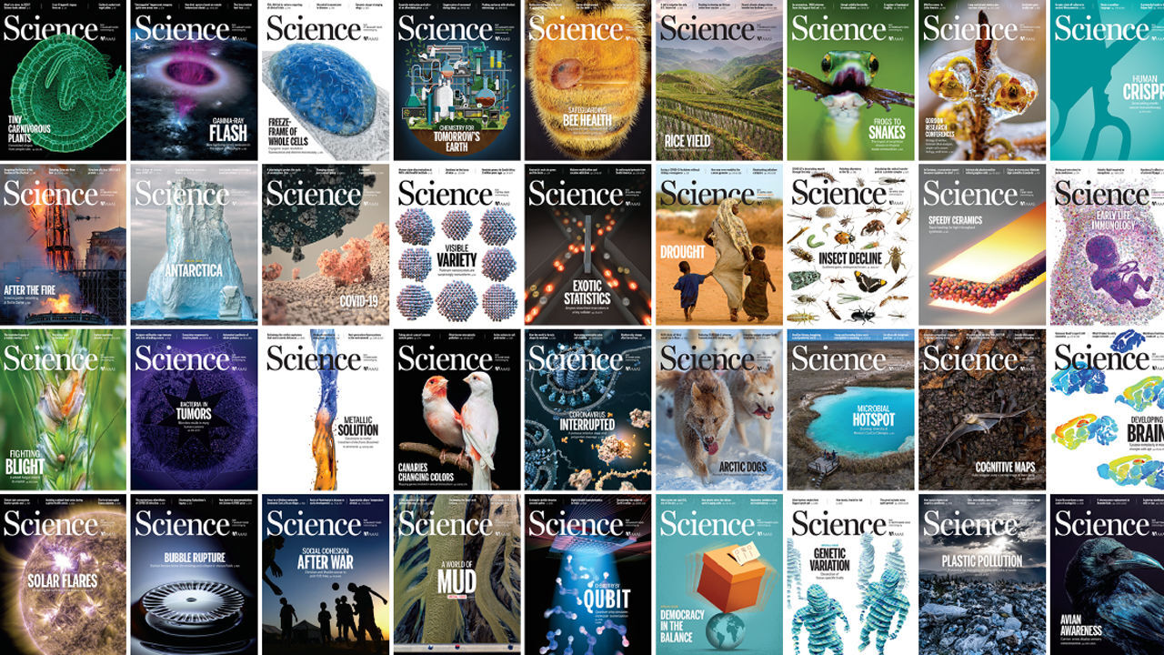 https://www.sciencemag.org/sites/default/files/styles/article_main_large/public/B__2020Science_1280p.jpg?itok=SOCSprqL